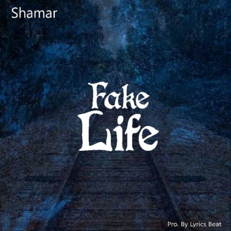 Fake Life | Boomplay Music