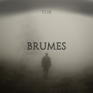 BRUMES