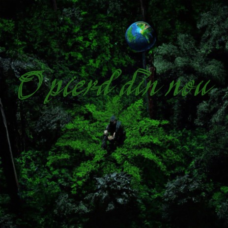 O pierd din nou | Boomplay Music