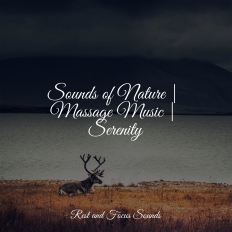 Windy Rain Song | Boomplay Music