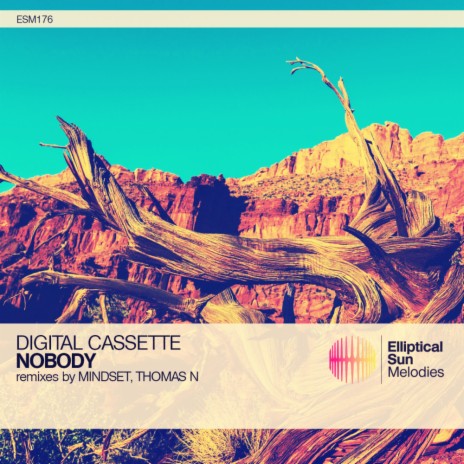 Nobody (Thomas N Remix) | Boomplay Music
