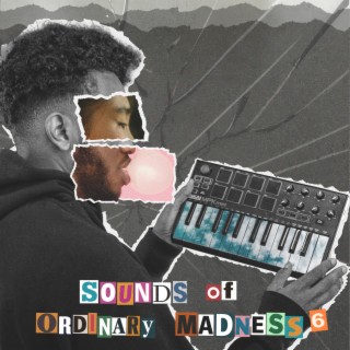 Sounds of Ordinary Madness 6