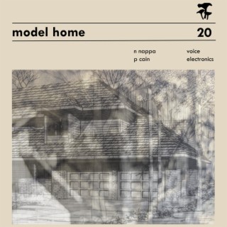 Model Home 20