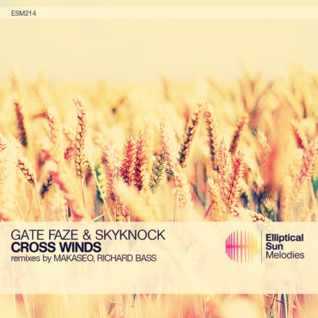 Cross Winds (Richard Bass Remix) ft. Skyknock | Boomplay Music