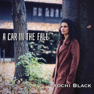 A car in the fall lyrics | Boomplay Music