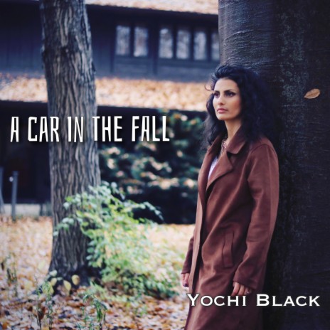 A car in the fall | Boomplay Music