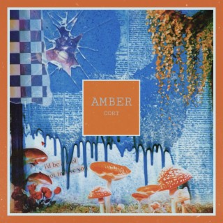 Amber (Radio Edit)