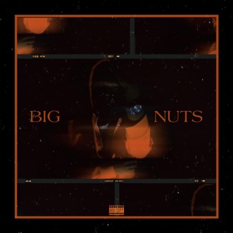 BIG NUTS