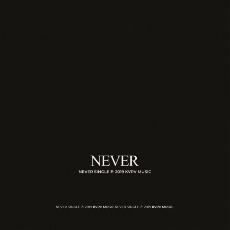 Never | Boomplay Music