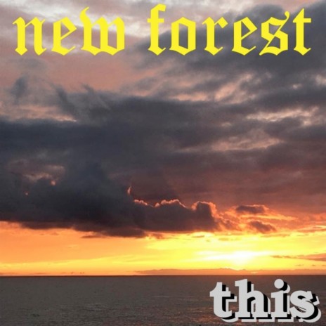 New Forest | Boomplay Music