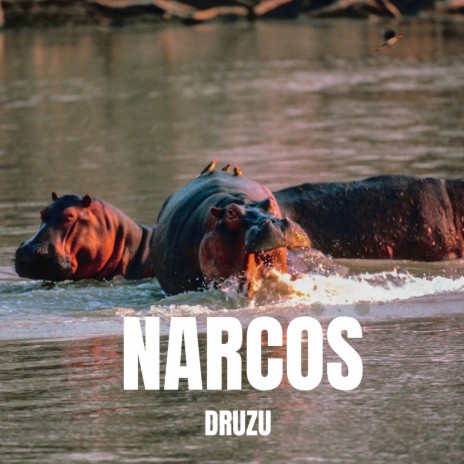 Narcos | Boomplay Music