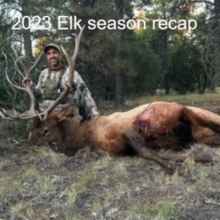 Elk Season 2023 tagging bulls, saving kids and blown opportunities