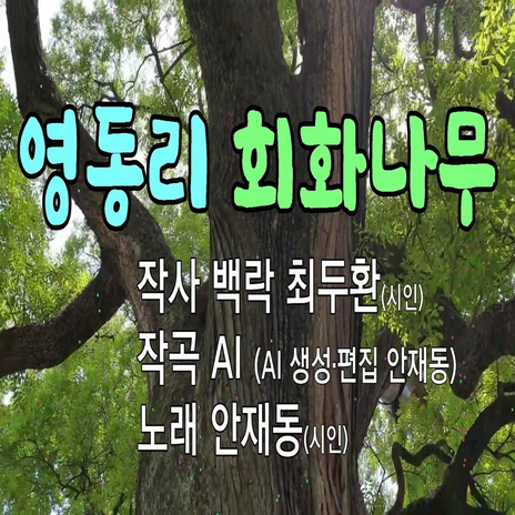 영동리 회화나무(Ⅵ)