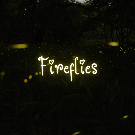 Fireflies | Boomplay Music