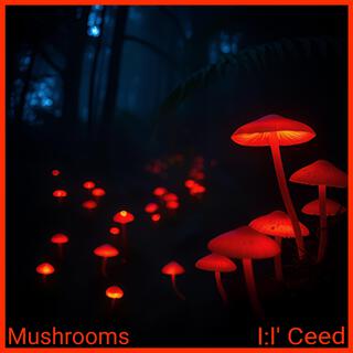 Mushrooms