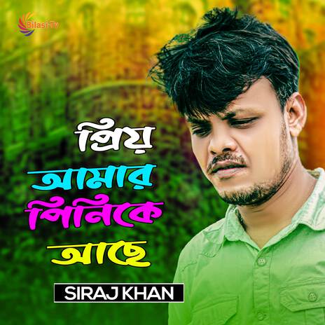 Priyo Amar Pinike Ache | Boomplay Music