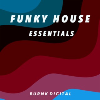 Funky House Essentials 7