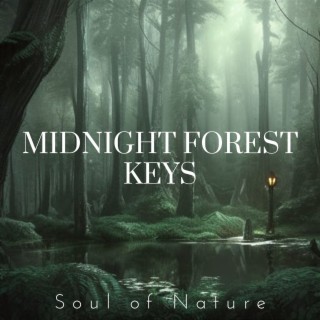 Midnight Forest Keys