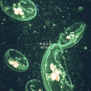 Agua Viva