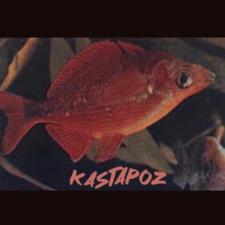 kastapoz