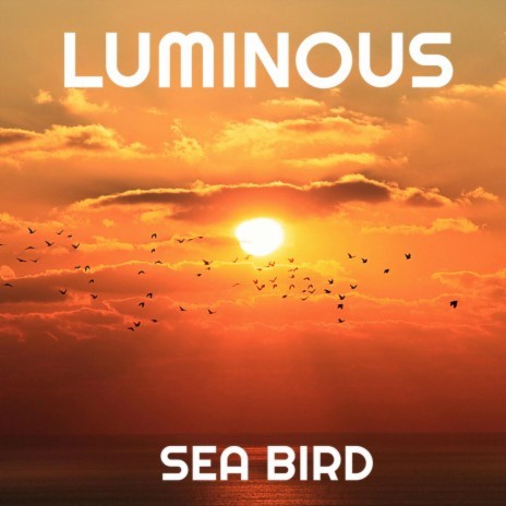 Sea Bird | Boomplay Music