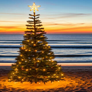 Surfside Christmas