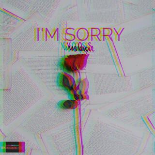 I'm Sorry (Versions)