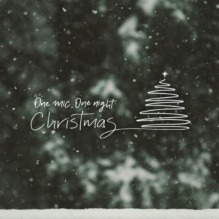 One Mic, One Night Christmas