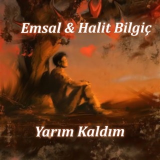 Yarım Kaldım ft. Halit Bilgiç lyrics | Boomplay Music