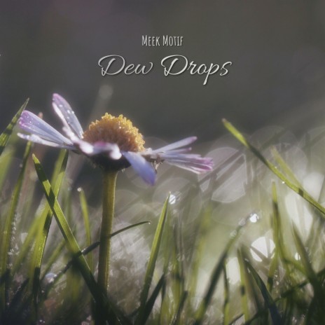 Dew Drops | Boomplay Music