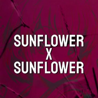 Sunflower x Sunflower lyrics | Boomplay Music