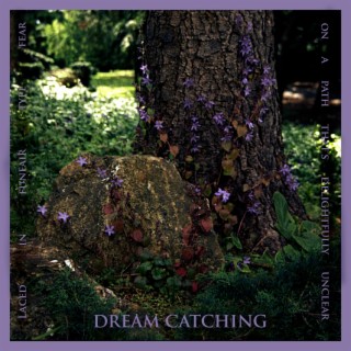 Dream Catching lyrics | Boomplay Music