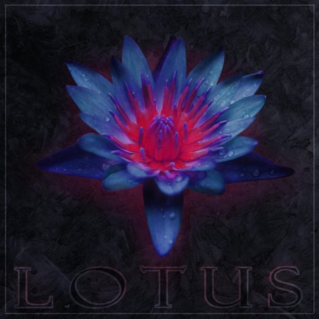 Lotus | Boomplay Music