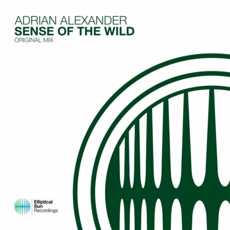 Sense Of The Wild (Extended Mix)