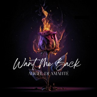 Want Me Back lyrics | Boomplay Music