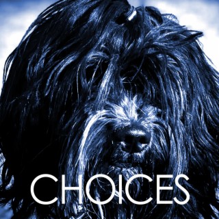 Choices lyrics | Boomplay Music