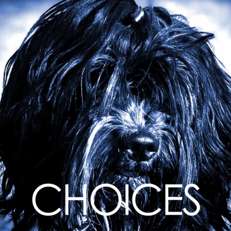 Choices | Boomplay Music