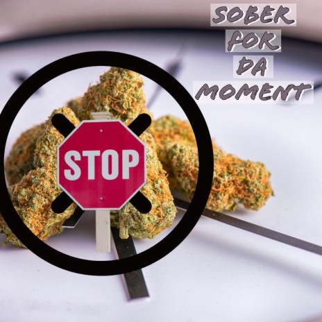 (H.A.B 5) Sober For The Moment | Boomplay Music