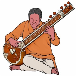 Indian Sitar Type