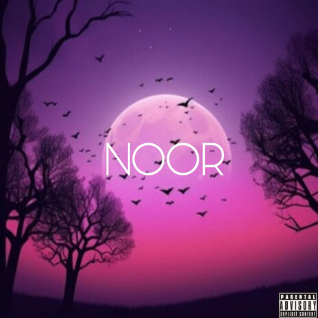 Noor | Boomplay Music