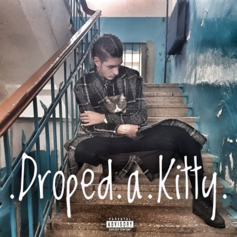 Droped.a.kitty.