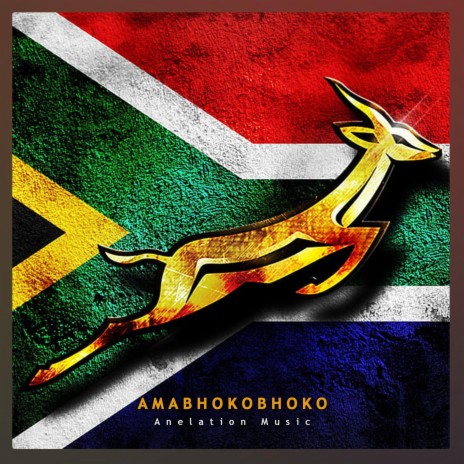 AMABHOKOBHOKO | Boomplay Music