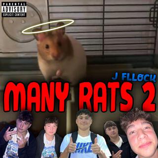 Many Rats 2