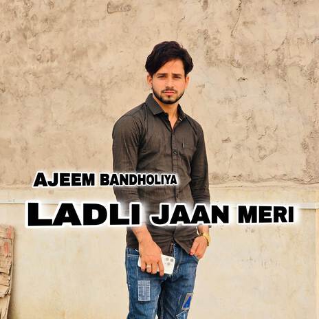 Ladli Jaan Meri | Boomplay Music