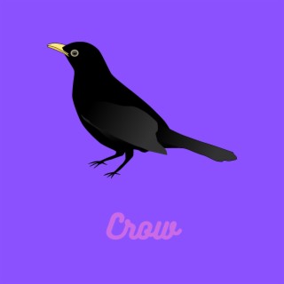 Crow