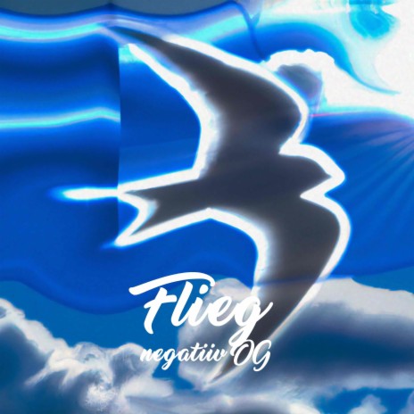 Flieg | Boomplay Music