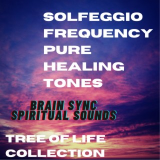Solfeggio Frequency Pure Healing Tones Tree Of Life Kabbalah Tree Of Life Collection For Inner Peace Relaxation Lucid Dreams Focus Deep Sleep Migraine Relief Creativity OBE Money Manifestation Studying Ambience Background Music Law of Attraction 432 hz