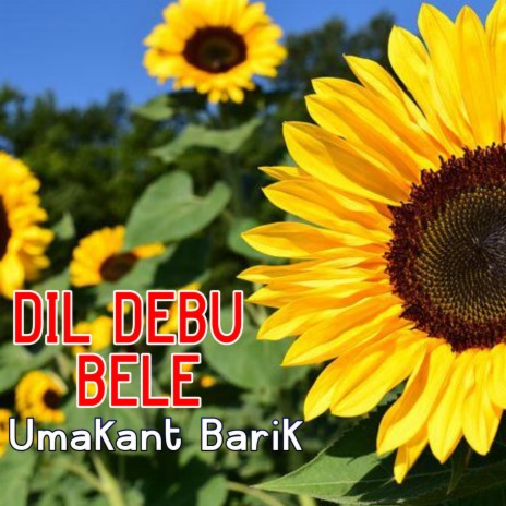 Dil Debu Bele | Boomplay Music