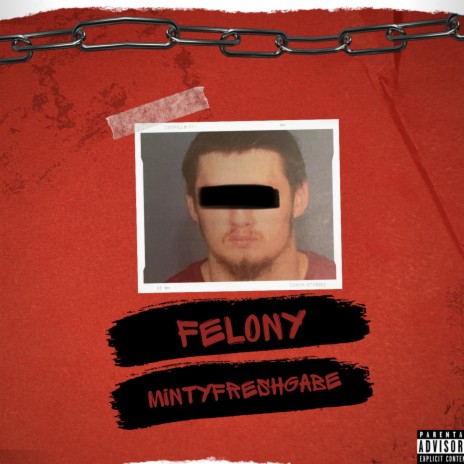 Felony | Boomplay Music