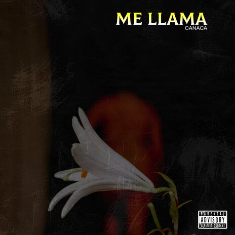 Me llama | Boomplay Music